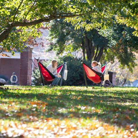 Students in hammocks on campus